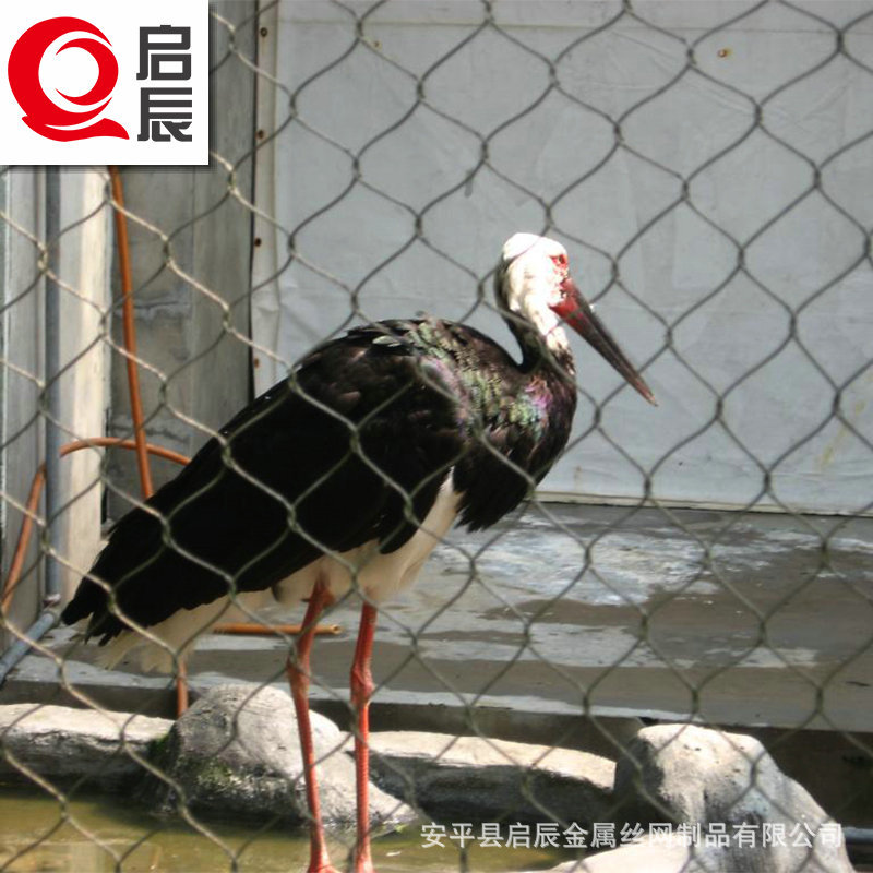 鳥籠舍圍網(wǎng) 鳥語林網(wǎng) 不銹鋼頂網(wǎng) 籠舍繩網(wǎng)