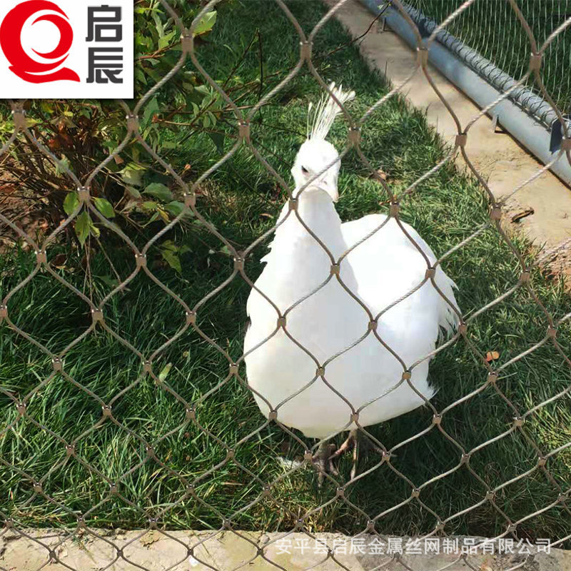 304 316L不銹鋼鳥籠網(wǎng) 鳥籠舍網(wǎng)生產(chǎn)廠家