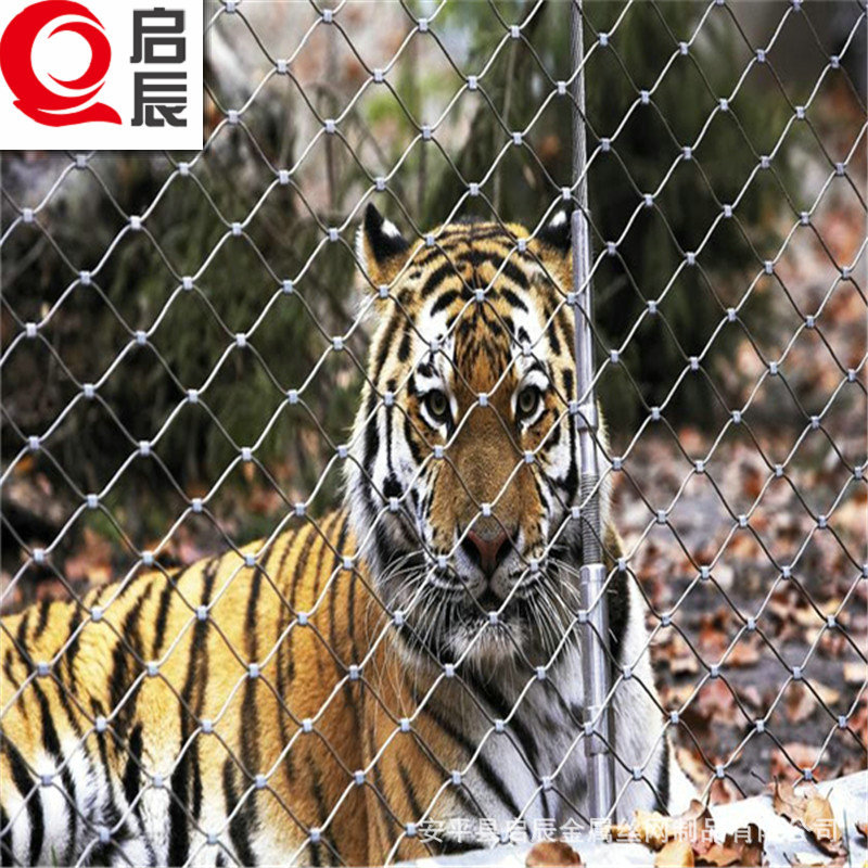 不銹鋼繩網(wǎng) 動(dòng)物園防護(hù)網(wǎng) 動(dòng)物園建設(shè)圍網(wǎng)