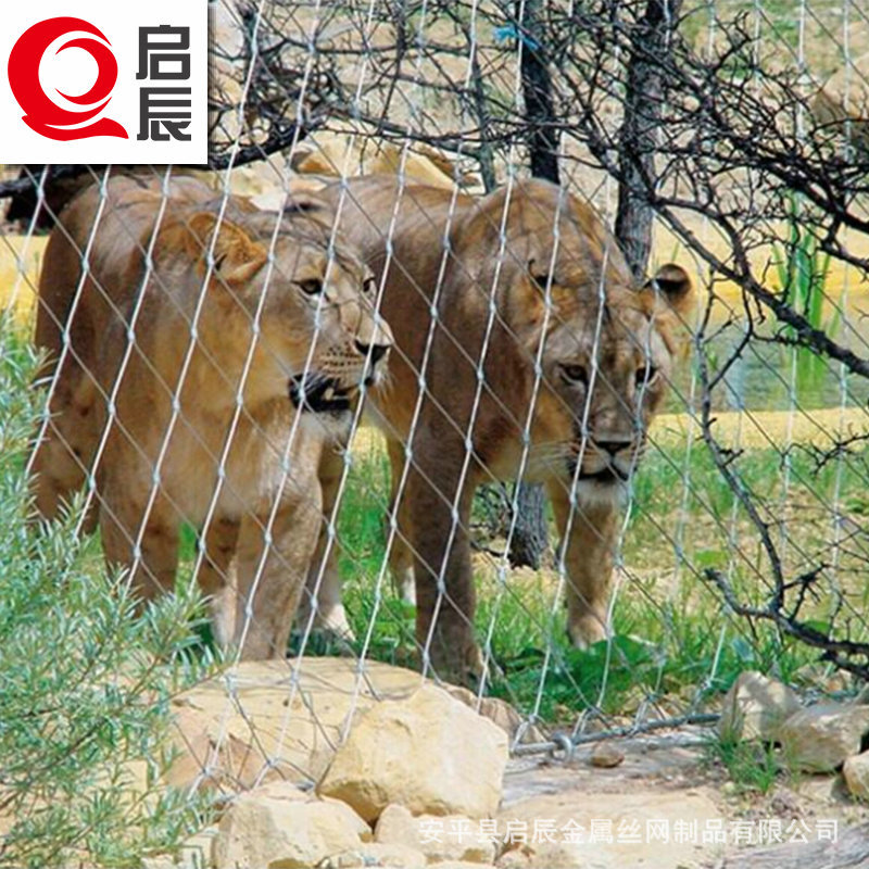 不銹鋼繩網(wǎng) 動物園防護網(wǎng) 動物園建設圍網(wǎng)