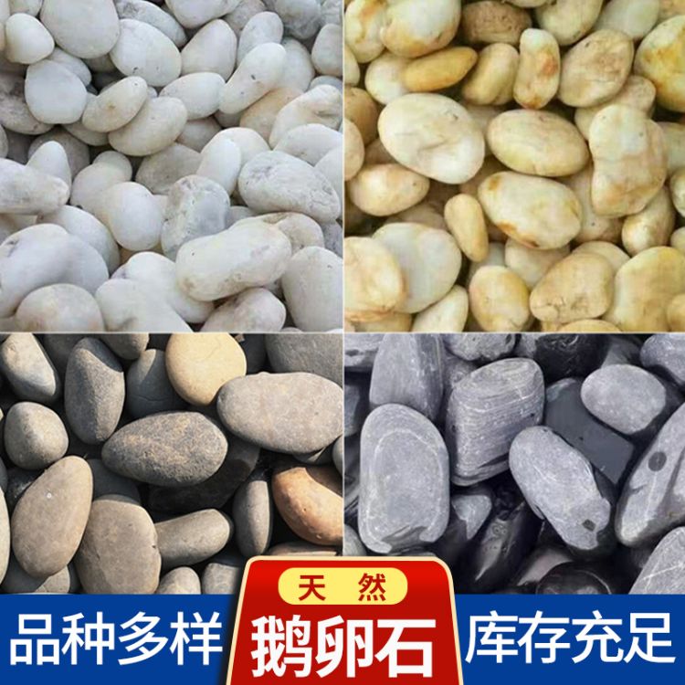 天然鵝卵石 鵝卵石濾料廠家批發(fā) 量大從優(yōu)