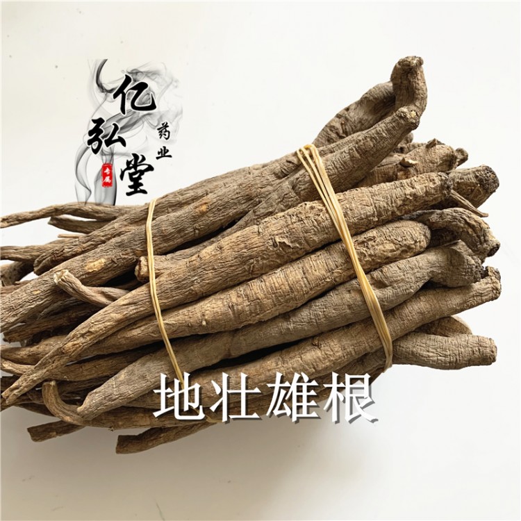 地壯雄根 地壯雄根產(chǎn)地直銷批發(fā)價 地壯雄根哪里購買便宜