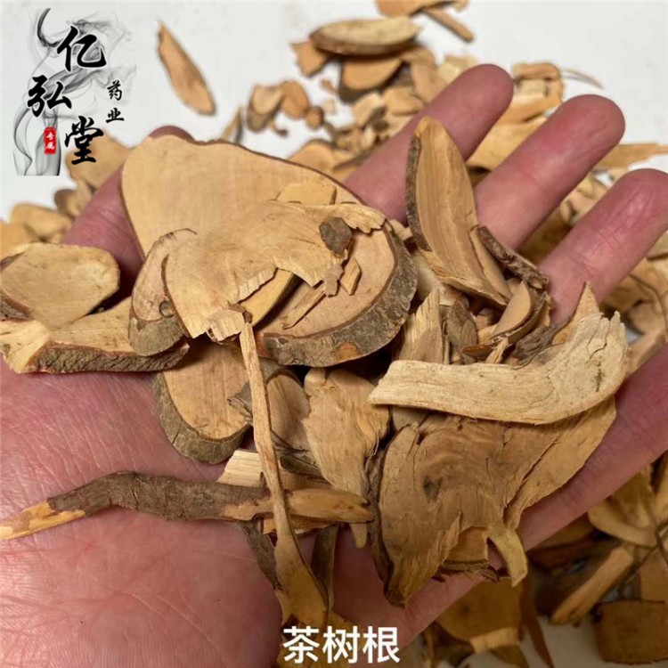 中藥材茶樹根 供應(yīng)茶樹根多少錢一斤 野生茶樹根批發(fā)價(jià)