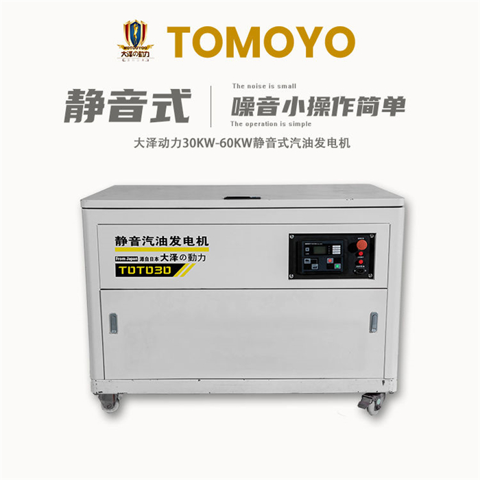 大澤動力汽油發(fā)電機簡介TOTO30