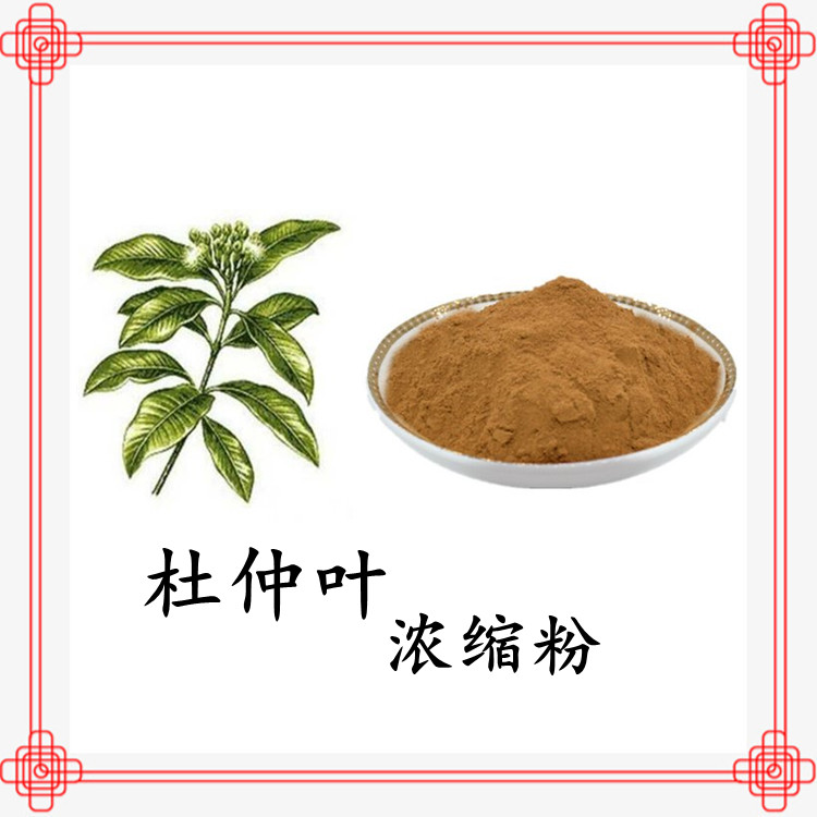 杜仲葉濃縮粉 水溶原料粉 斯諾特生物源頭工廠 多種規(guī)格