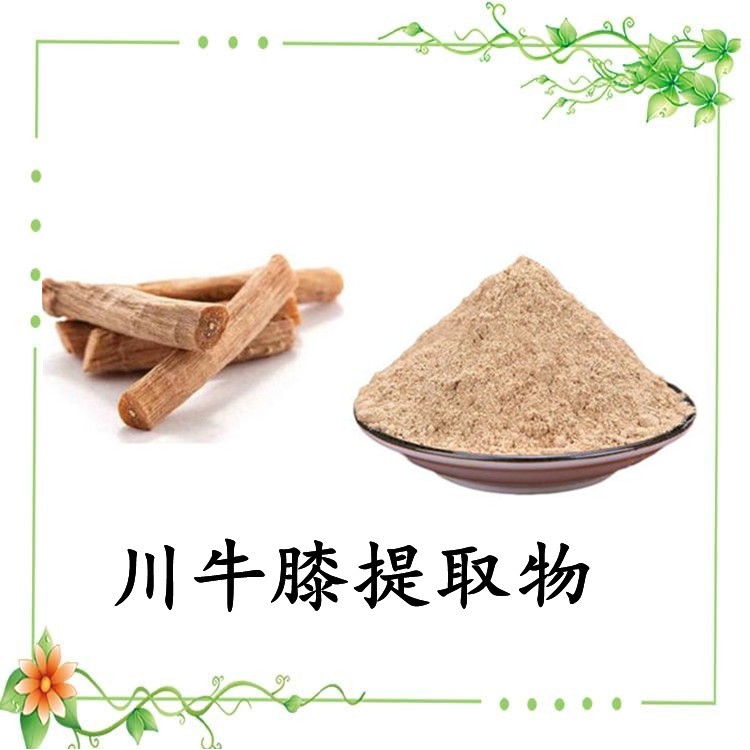 川牛膝提取物 水溶性好 川牛膝濃縮粉 源頭廠家 資質(zhì)齊全