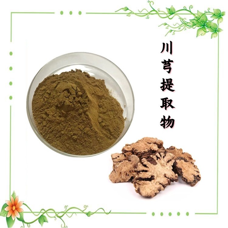 川芎提取物 比例濃縮萃取 粉末細(xì)膩 免費(fèi)拿樣 可定制