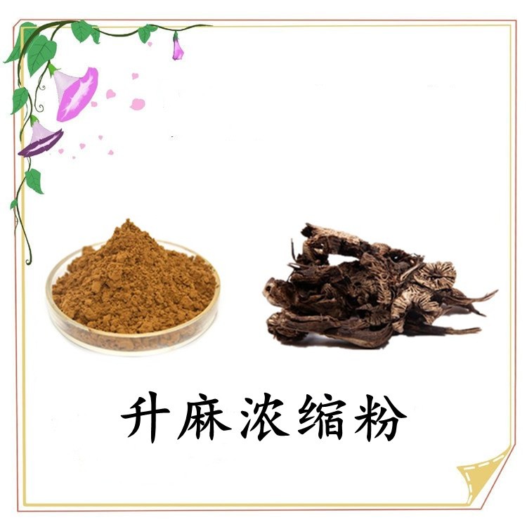 升麻濃縮粉 噴霧干燥工藝 濃縮粉末 多種規(guī)格 可定制