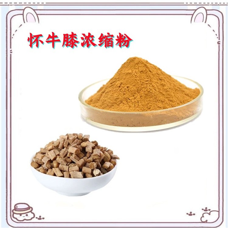 懷牛膝濃縮粉 規(guī)格多種 庫(kù)存充足 源頭廠家 含稅含運(yùn)