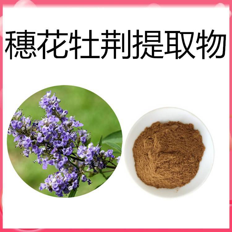 穗花牡荊提取物 斯諾特生產(chǎn) 水溶性好無沉淀 可定制