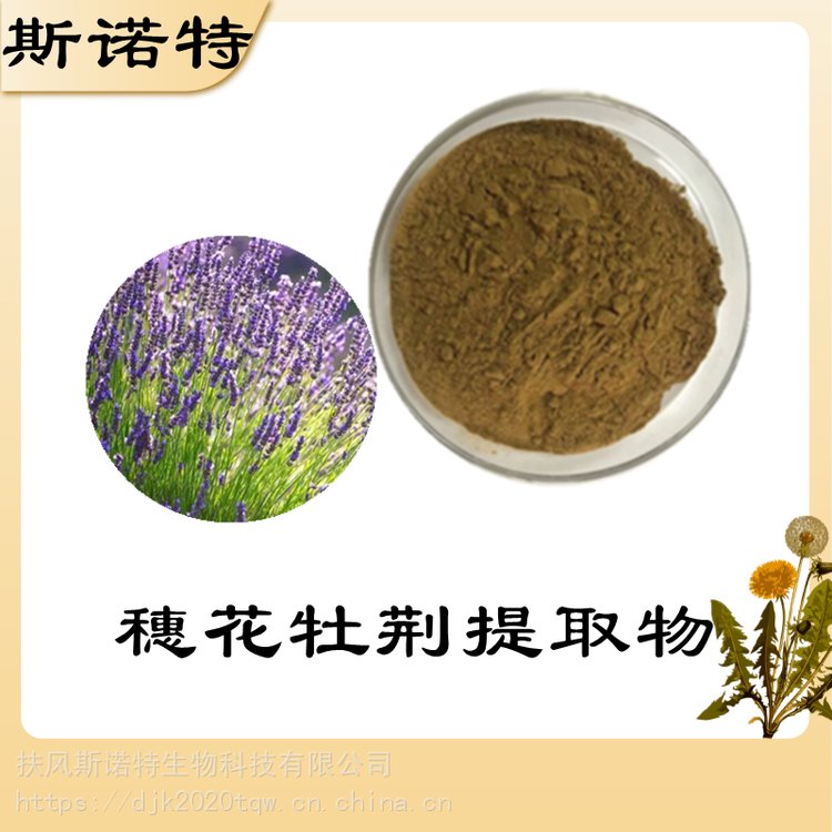 穗花牡荊粉 植提廠家 扶風(fēng)斯諾特生物 庫(kù)存充足 可定制