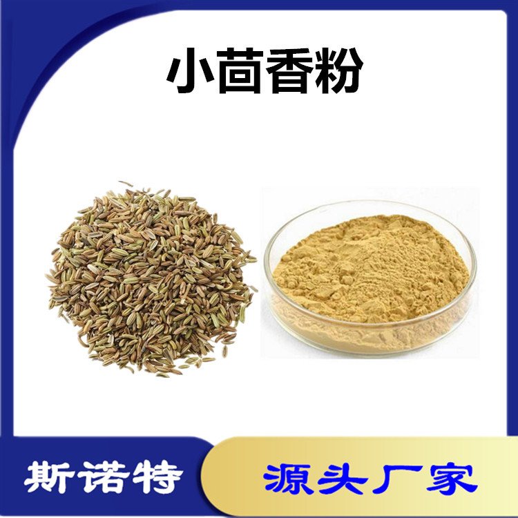 小茴香粉 斯諾特生物 食品級(jí)原料濃縮萃取 全水溶 可定制