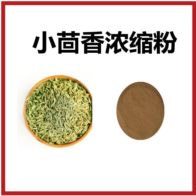 小茴香濃縮粉 食品級(jí)原料 噴霧干燥工藝 粉末均勻