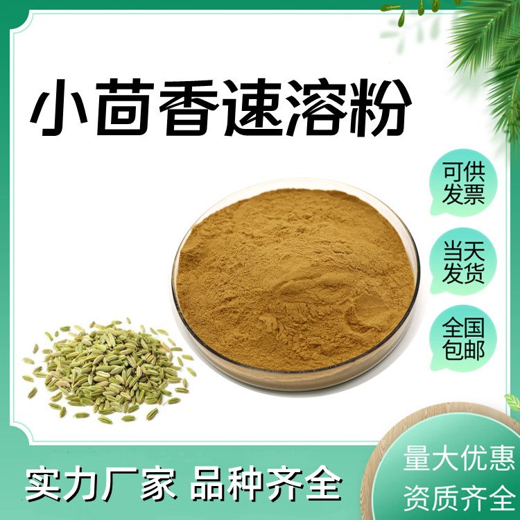 小茴香速溶粉 斯諾特生物 食品級(jí)原料濃縮萃取 全水溶 可定制