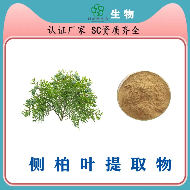 側(cè)柏葉提取物 植物萃取 經(jīng)驗(yàn)豐富 庫(kù)存充足 長(zhǎng)期供應(yīng)