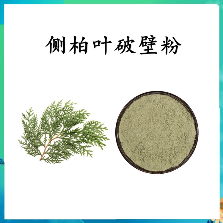 側(cè)柏葉破壁粉 精選原料  粉末細(xì)膩 質(zhì)量穩(wěn)定 斯諾特生物