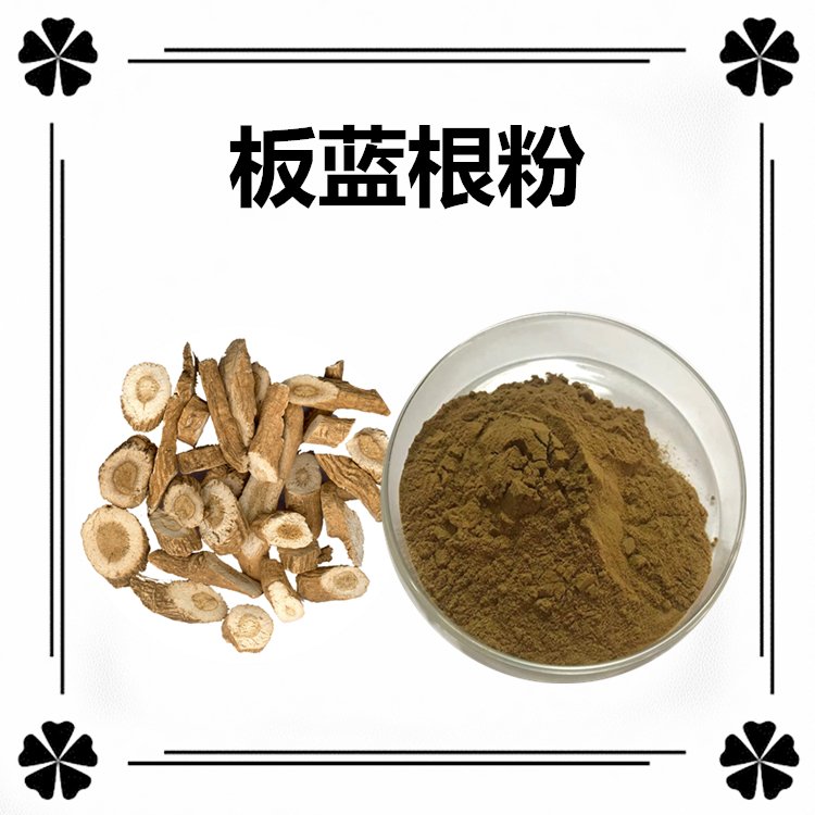 板藍(lán)根粉 斯諾特生物 資質(zhì)齊全 隨貨帶質(zhì)檢報(bào)告