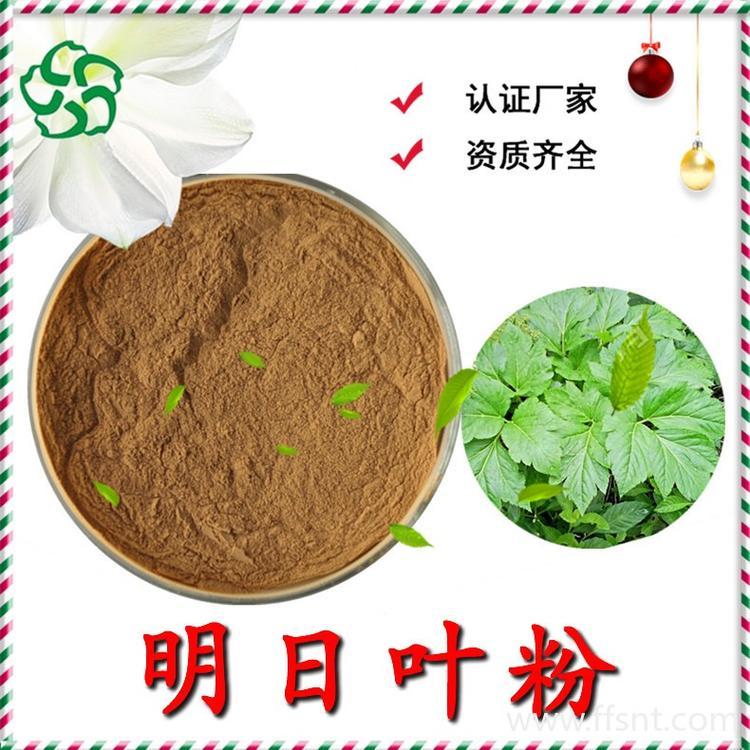 明日葉粉 斯諾特工廠 源頭供應(yīng) 現(xiàn)貨包郵 隨貨帶報(bào)告