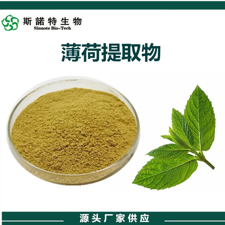 薄荷提取物 粉末流動性好 規(guī)格多種 品質優(yōu)良 斯諾特生物