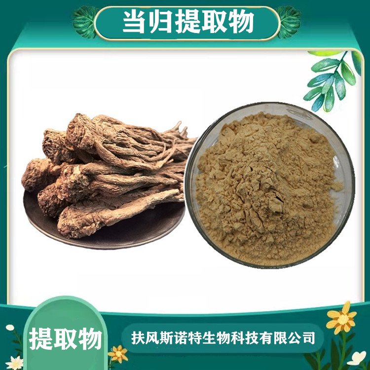 當(dāng)歸提取物 精選原料 植物萃取 庫存充足 可發(fā)樣品