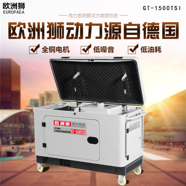 歐洲獅12kw高原柴油發(fā)電機負載能力強 品質(zhì)保證