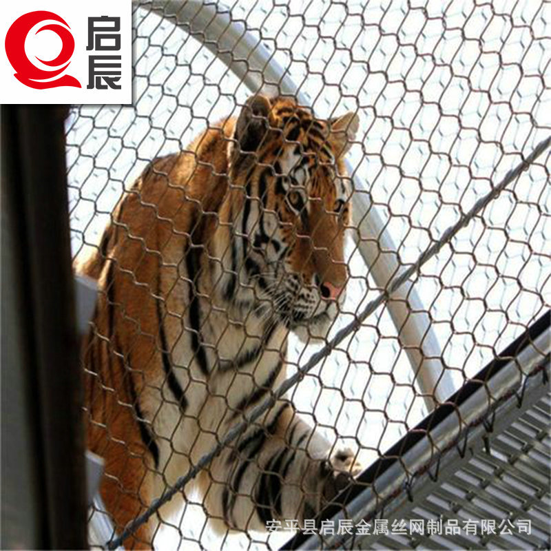 動物園金屬編織網(wǎng) 定制柔性繩網(wǎng)籠舍網(wǎng)天網(wǎng) 不銹鋼繩網(wǎng)定制廠家